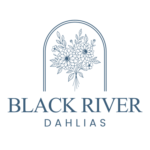Black River Dahlias